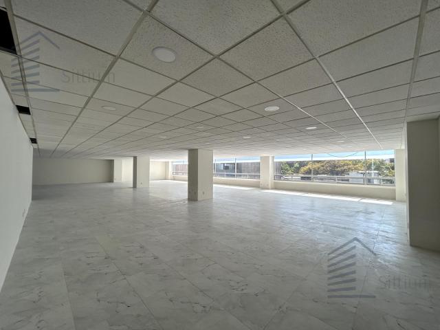 Oficina en Renta Hamburgo 277 m2 Piso 3