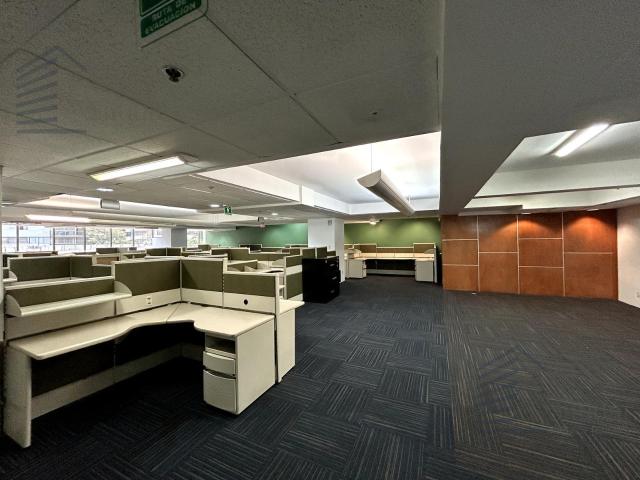 Oficina en renta Polanco Piso 2 825 m2