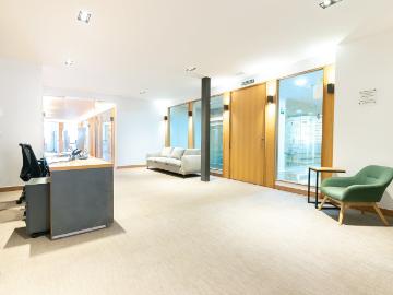 Palmeral de las Sorpresas, Casco Antiguo de Málaga, Málaga, Málaga, Andalucía, Andalucía