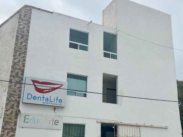 Oficina Renta Minerva