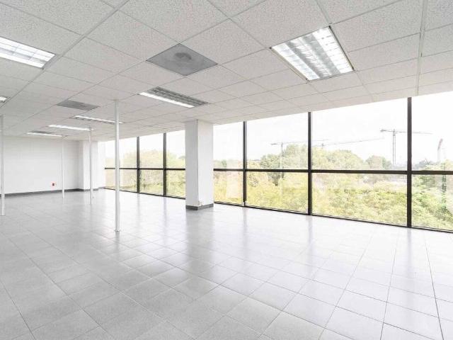 Oficina Renta Anillo Periferico Sur 840 m2 Piso 4