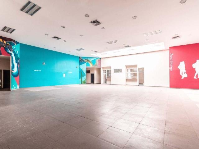 Oficina Renta Arboledas 137m2