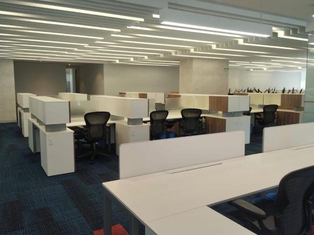 Oficina Renta Periferico Sur 502 m2 Piso 5