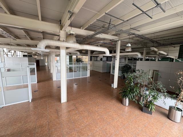 OFICINA 1,515m2 EN SEXTO PISO COL.INSURGENTES MIXCOAC, BENITO JU?REZ