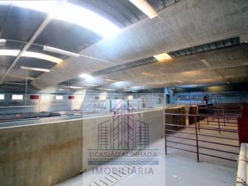 Torrozelo e Folhadosa, Distrito de Guarda