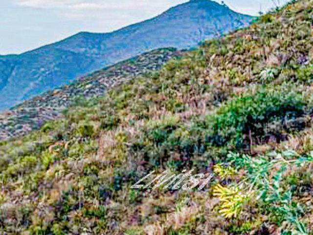 Terreno en Venta en Terralta