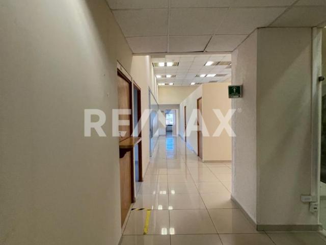 Oficinas en Renta | Colonia Juárez, Hamburgo – CDMX
