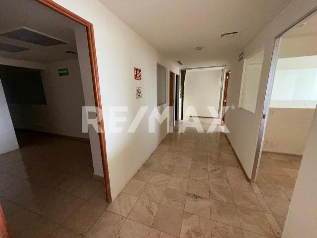 Oficinas en renta en Álvaro Obregón en Colonia Roma Norte