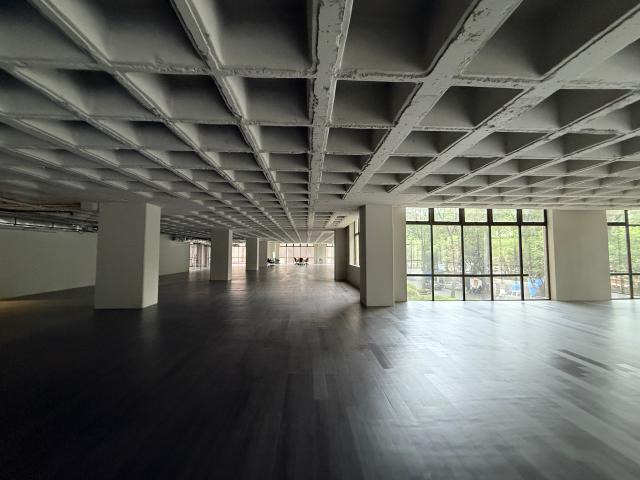 Oficinas en Renta en Polanco – Lago Victoria