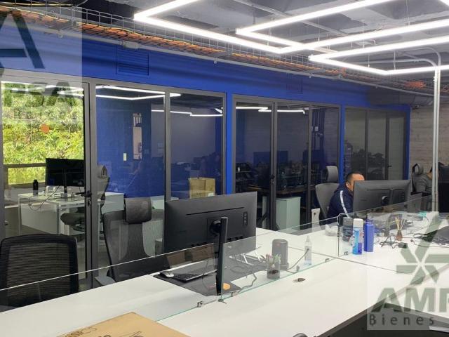 Oficinas Hipodromo Condesa en Renta