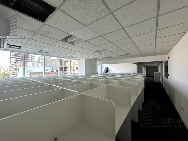 Oficia en Renta Colonia Cuauht?moc Piso 8 280 m2