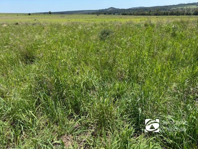 Oklahoma A Property That Grows With You Grazing, Water & Feedlot Upside