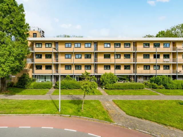 Oostelijk Halfrond 37