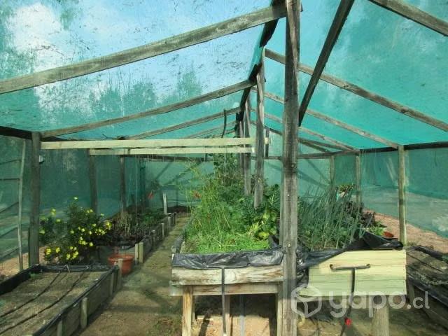 Olmué, hermosa casa en parcela 5.884mt2 | 4 dormitorios por 10700.00 en Olmué