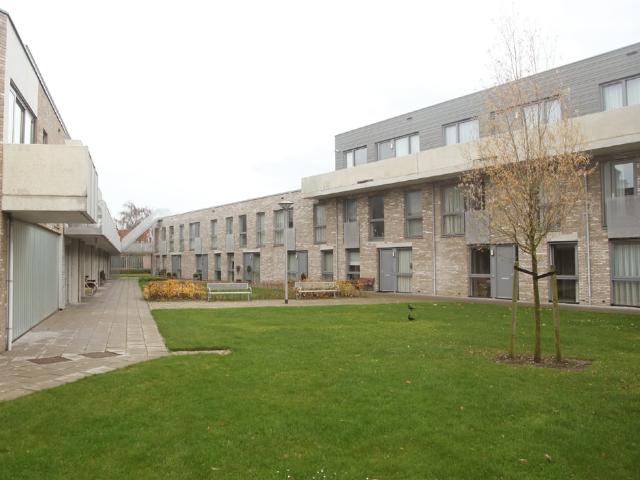 Olmenhof 46
