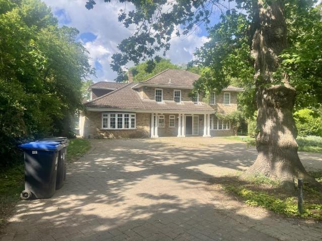 Old Avenue, West Byfleet, KT14 5 bed detached house to rent £5,950 pcm £1,373 pw