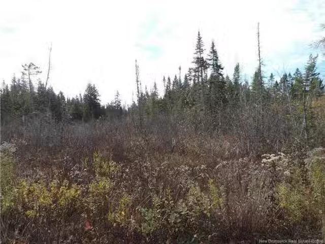 Old Gardner Creek Rd, Rowley, NB, E2S 2C8 vacant land for.