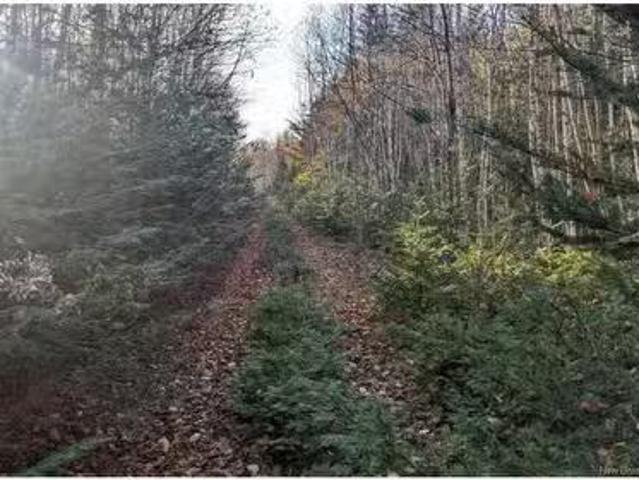 Old Great Rd, Hopewell Cape, NB, E4H 3J6 vacant land for s.