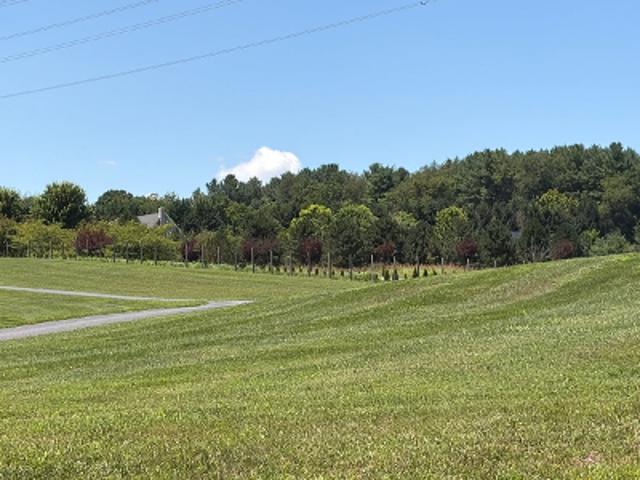 Old Greenville Rd