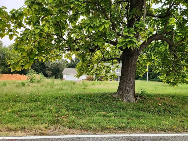 Old Jackson Rd