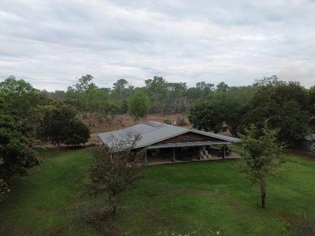 Old Mango Farm