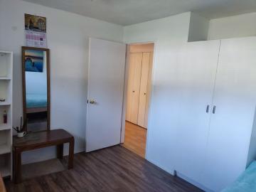 Olga Has a House