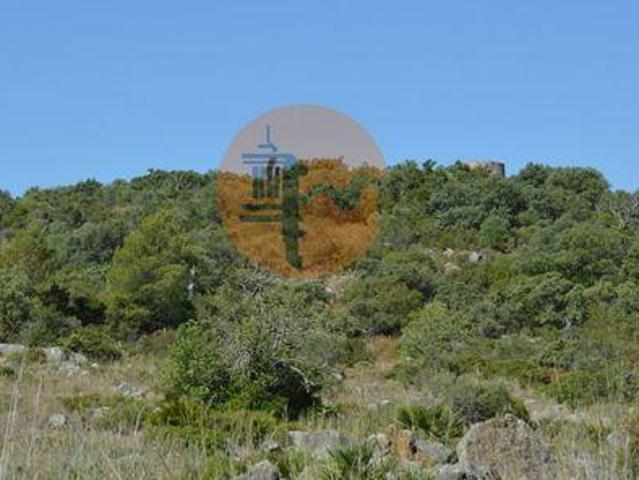 Olhão Faro 8700 96321758