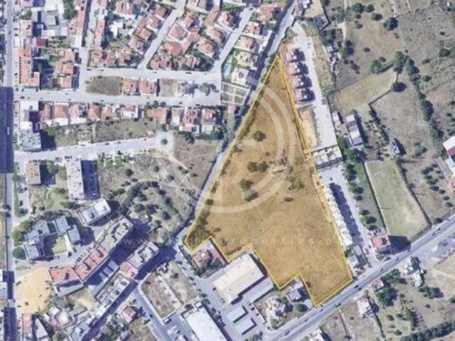 Olhão Faro 96331502