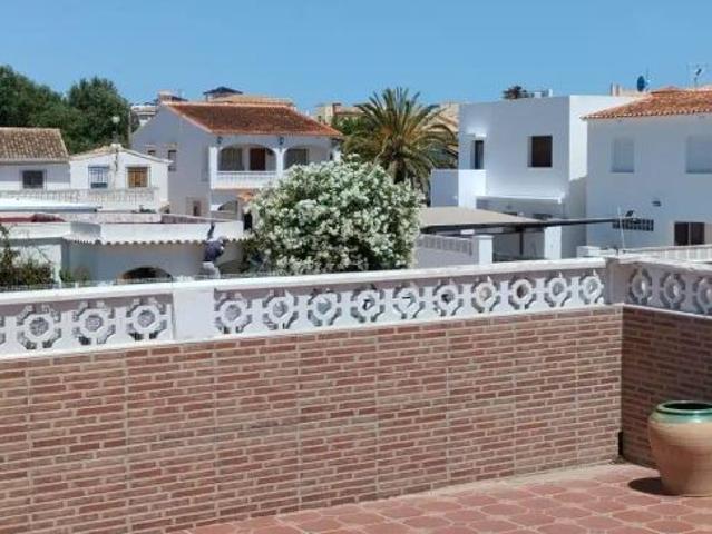 Oliva