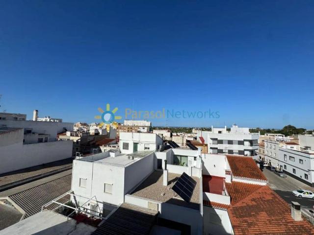 Oliva