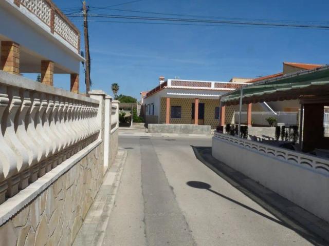 Oliva