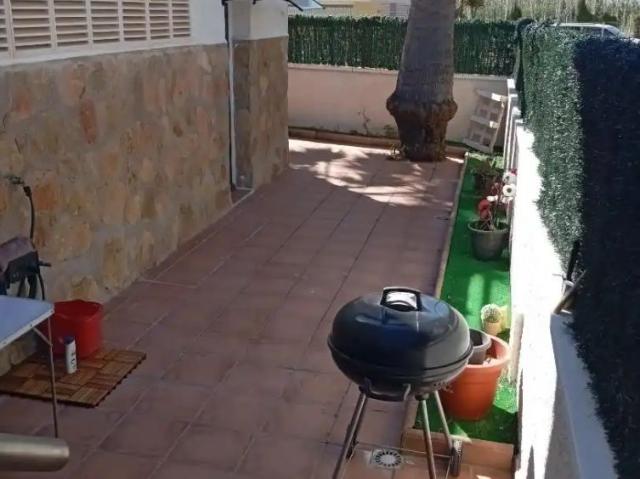 Oliva