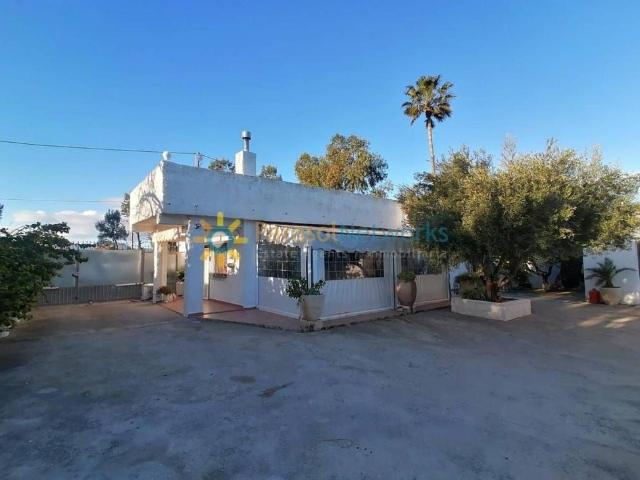 Oliva, Valencian Community 46780