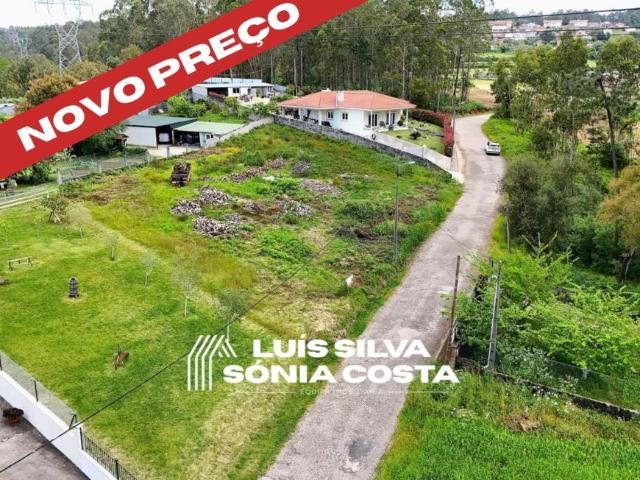 Oliveira de Azeméis Aveiro 98406222