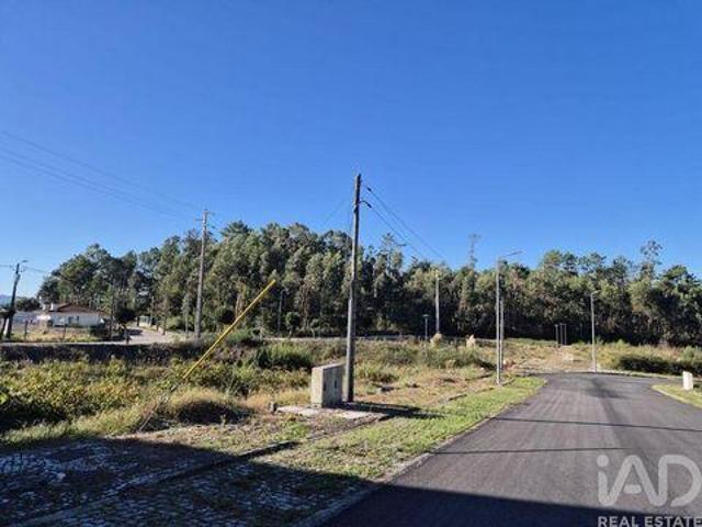 Oliveira De Azemeis Aveiro 105254110