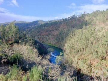 Oliveira De Frades Viseu 102798018