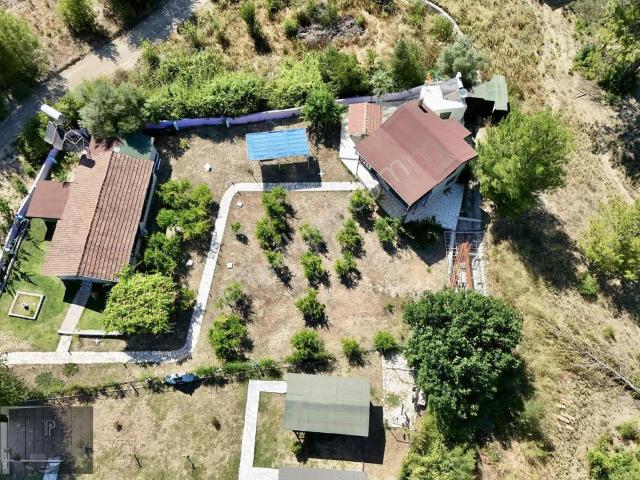 Olympos'ta 1+1 Ve 2+1 Ticari Belgeli Full Eşyalı Kiralık Mülk