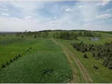 On Range Road 62, Rural Grande Prairie No. 1, County Of, AB, T.