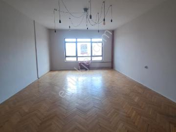 Salkım Söğüt Caddesi, Harbiye Mahallesi, Çankaya, Ankara ili, İç Anadolu Bölgesi