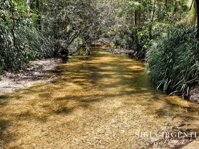 Once in a Lifetime Acreage Creek, Orchard & Scale in Mareeba