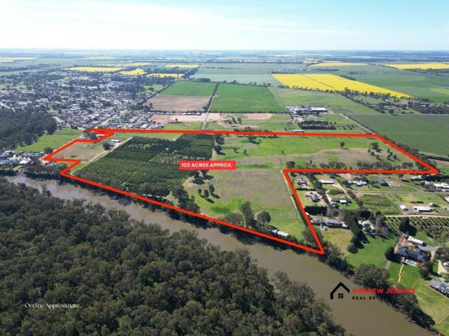 Once in a Lifetime Murray River Frontage 103 Acres Approx