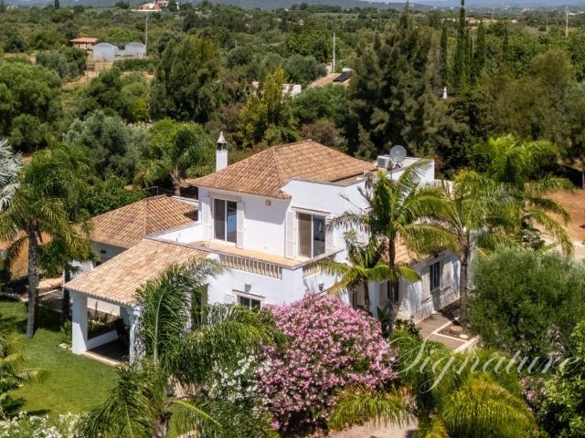 Onde as Manhãs Começam na Sela Uma Rara Propriedade Equestre. 0m² Luz de Tavira e Santo Estêvão