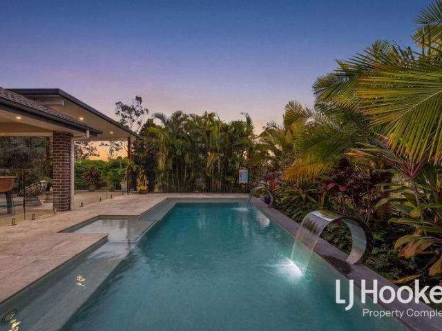 One Acre, Two Homes, Resort Style Pool and Shed