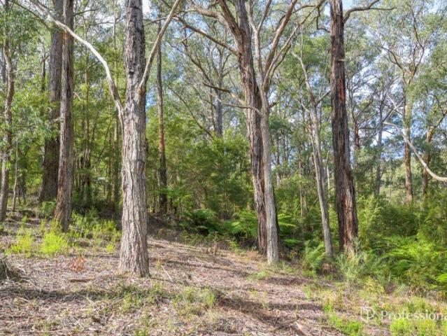 ONE ACRE APPROX. SHORT DRIVE TO WARBURTON