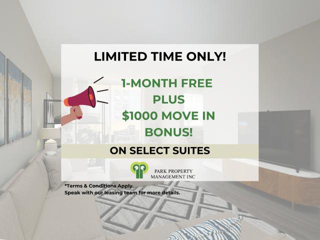 Junior One Bedroom
