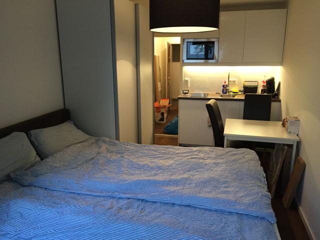 One Bedroom Apartment, Garage, district University, Munchen Amsterdam Apartments for Rent