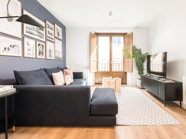 One bedroom apartment in Madrid's downtown area
