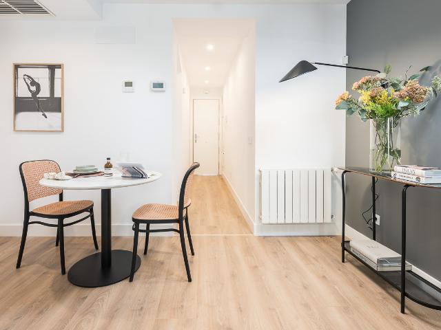 One bedroom apartment in Madrid's downtown area