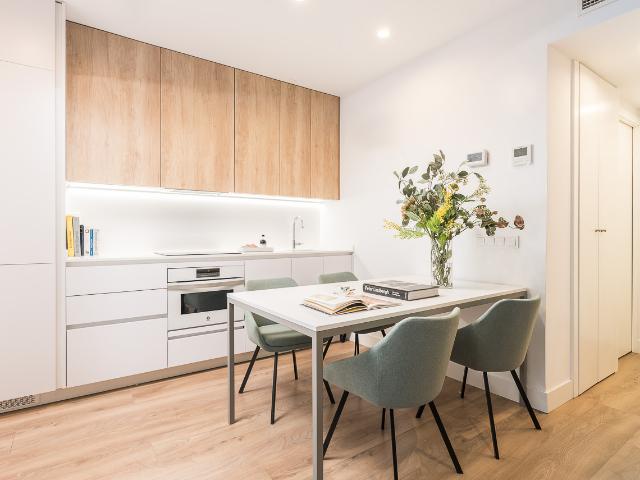 One bedroom apartment in Madrid's downtown area