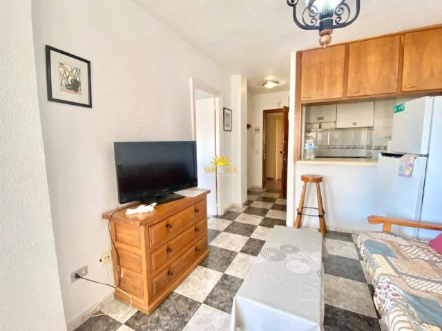 ONE BEDROOM APARTMENT IN PLAYA HONDA